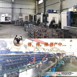 環保風暴下小工廠的生存困境 價格優勢不再，轉型之路何在？